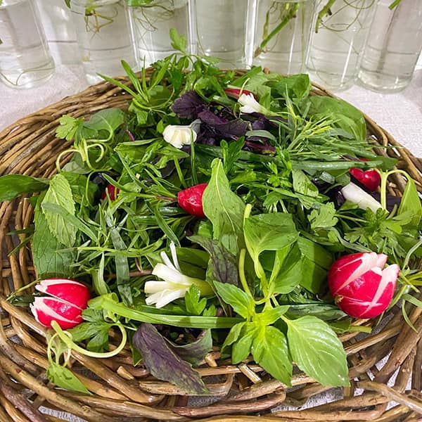 سبزی خوردن