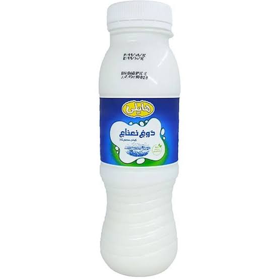 دوغ نعنا هایلی (270cc)