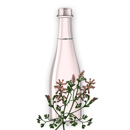 عرق شاهتره قمصر کاشان