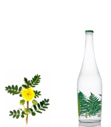 عرق خارخاسک قمصر کاشان