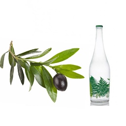 عرق  برگ زیتون قمصر کاشان