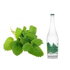 عرق بادرنجبویه قمصر کاشان