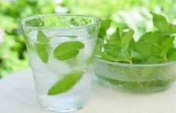 عرق مرزه قمصر کاشان