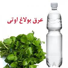 عرق بولاغ اوتی قمصر کاشان