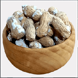 بادام هندی اعلاء